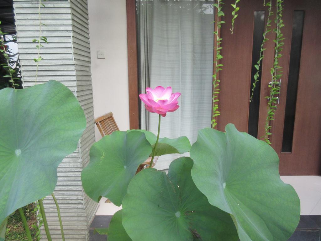 Rika Sanur Homestay Екстер'єр фото